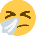 :sneezing_face: :sneezing_face: